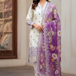 Image of Dastan inspired Party Three pieces